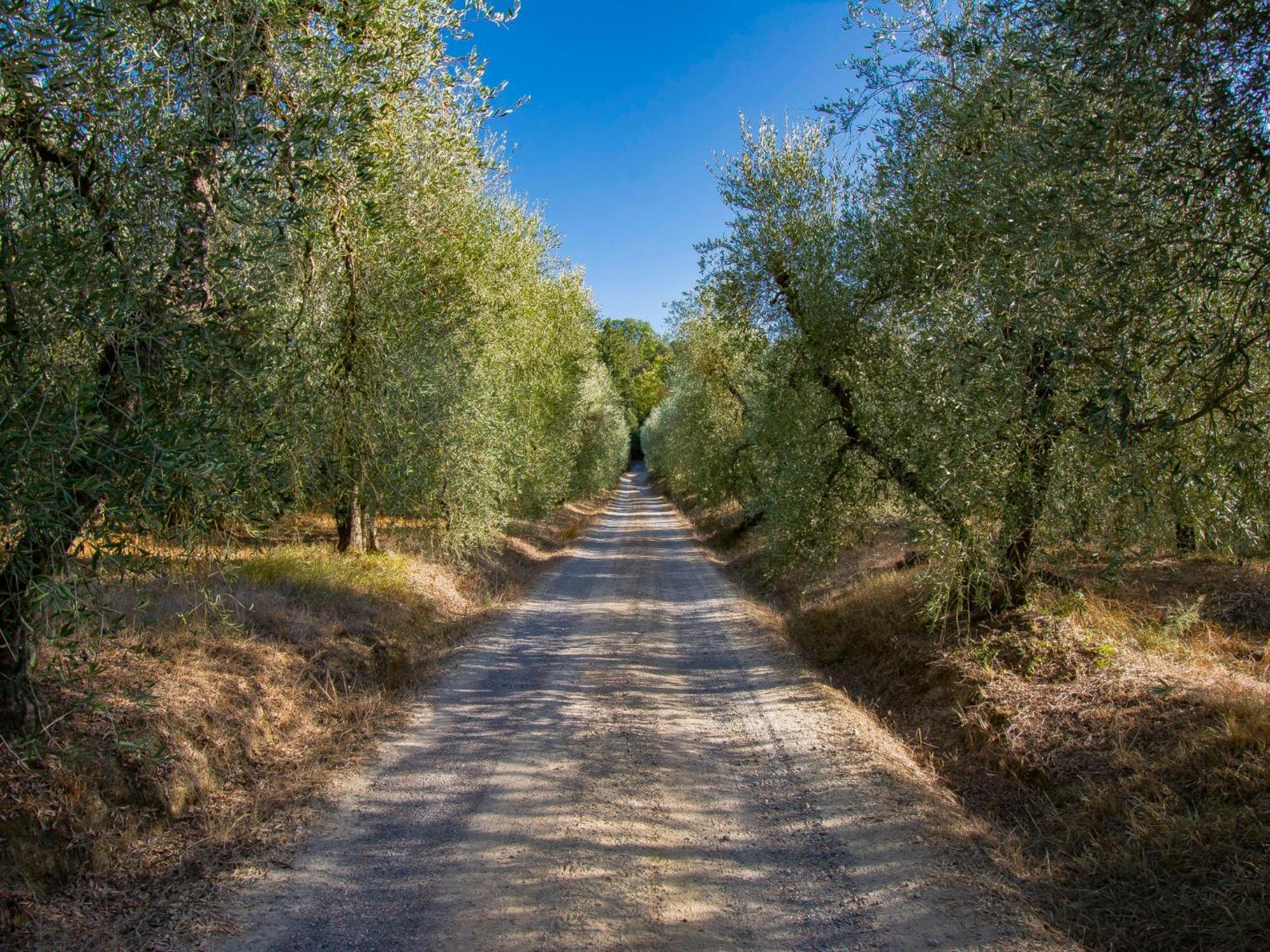 Holiday Home Merlot By Interhome Cedri Εξωτερικό φωτογραφία